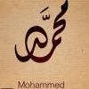 محمد أحمد  محمود  أجمل الأسماء 