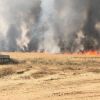 اندلاع حريق في "بئيري" وآخر في سديروت بفعل طارقة ورقية حارقة