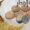 الشيخ حسين : زكاة الفطر لا يشترط نصاب محدد و توجب على من ملك قوت يومه 