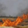 بالفيديو : اندلاع حريق في كيبوتس نير عام بفعل بالون حارق أطلق من غزة