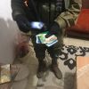 جيش الإحتلال يشن حملة دهم وإعتقالات في الضفة المحتلة