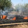 صور: بفعل البالونات الحارقة اشتعال النيران في مناطق غلاف غزة