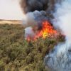 اندلاع 7 حرائق بمستوطنات غلاف قطاع غزة بفعل البالونات الحارقة