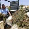 الشرطة تضبط موادًا مخدرة بحوزة تاجر مخدرات بالخليل