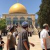بحماية من الاحتلال مستوطنون يقتحمون المسجد الأقصى