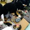 مقتل 43 طفلا يمنيا باستهداف حافلة في صعدة شمال اليمن