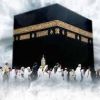 رحمة الرسول في الحج