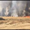 حريق بسبب طائرة حارقة في مستوطنات بغلاف غزة