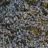 أكثر من مليوني حاج يصعدون على جبل عرفات لأداء ركن الحج الأعظم