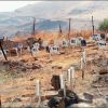 الحملة الوطنية: 253 شهيدا محتجزة جثامينهم في "مقابر الارقام"