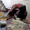 فيديو وصور .. أسرة غزّية تعمل بتقشير الفستق لتوفير ثمن علاج ابنتها المصابة بالسرطان