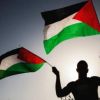 المطور: فلسطين تتصدى لجائحة كورونا والاحتلال معا