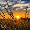 الطقس: أجواء حارة اليوم وغدًا