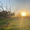 الطقس: أجواء حارة اليوم وغدًا