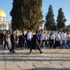 عشرات المستوطنين يقتحمون "الأقصى"