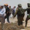 الاحتلال يقمع فعالية ضد جرائم الاحتلال والمستوطنين في مسافر يطا