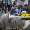 العيد على وقع الغياب… أزمة الأضاحي تعمق حزن الأسر في غزة